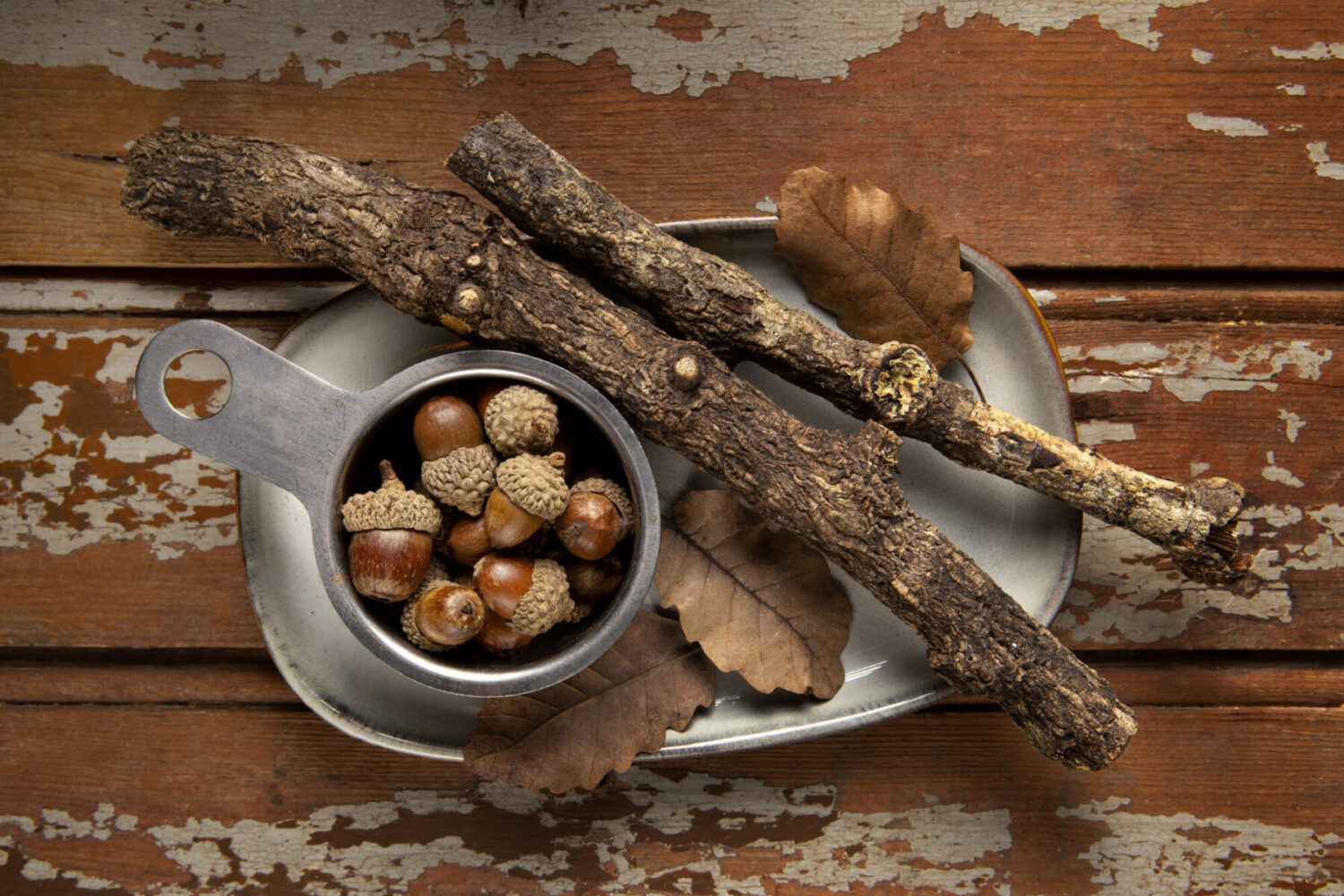 Le principali piante adattogene: rhodiola-Schisandra-ashwagandha